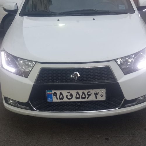 دنا معمولی تیپ 2