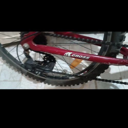 دوچرخه در حد نو