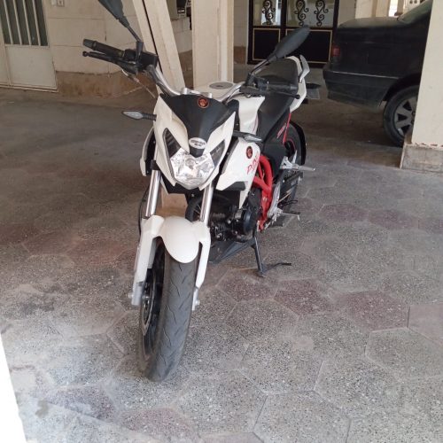 دینو z200