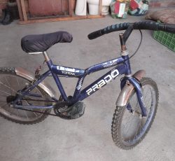 دوچرخه فروشی قیمت مناسب