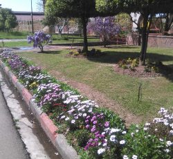 باغبانی حرفه ای