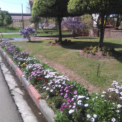 باغبانی حرفه ای