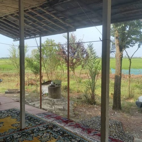 1441متر زمین مسکونی به همراه یک خانه ویلایی با ویو استخر وشالیزار