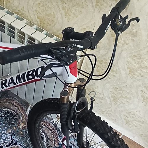 دوچرخه در حد نو