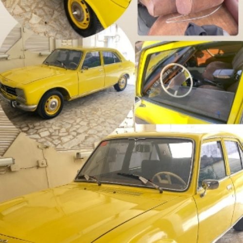پژو۵۰۴دنده فرمونی