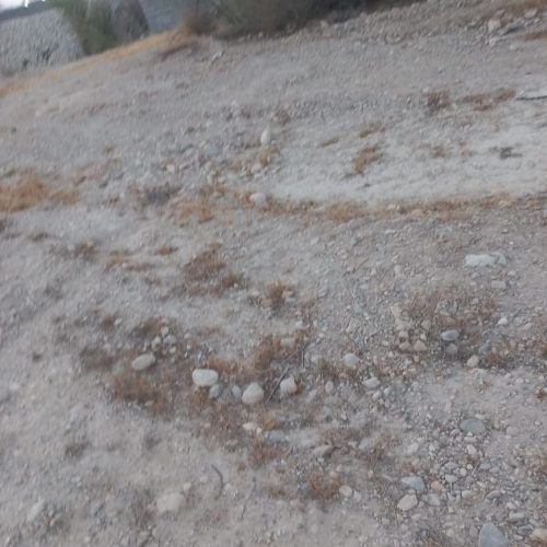 فروش زمین گلنگی سرخون