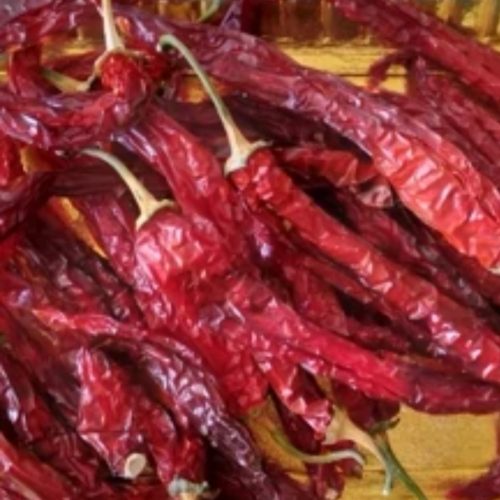 فلفل شمشیری تند