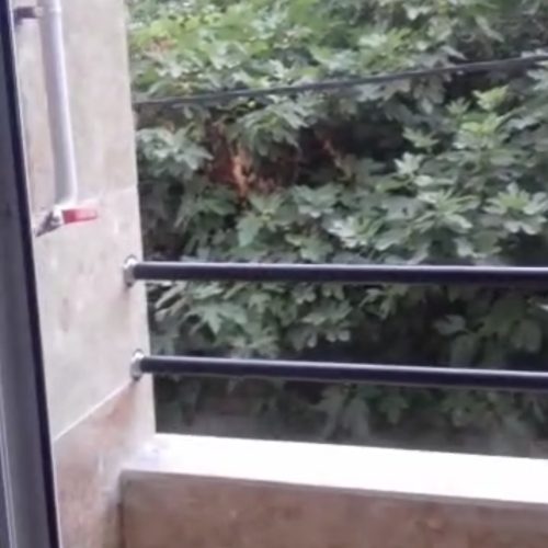 فروش یک دستگاه آپارتمان با تمامی امکانات