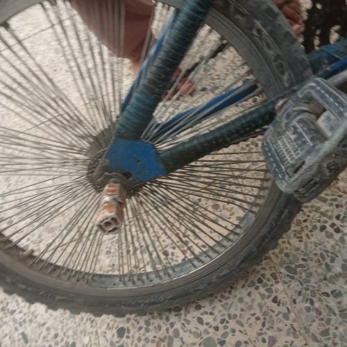 دوچرخه معامله با عروس هلندی