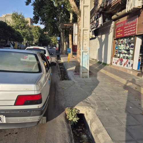 پژو دوگانه فابریک مدل 91