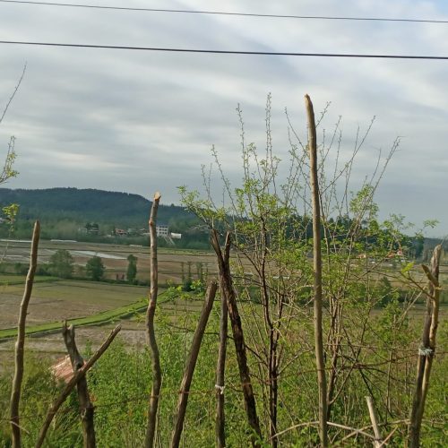 زمین ویلایی در توریسیتی ترین منطقه گیلان