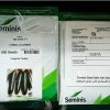 فروش انواع بذر خیار