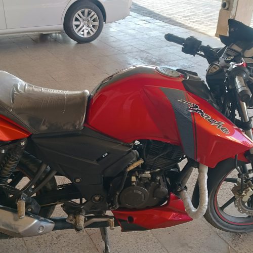 آپاچی آلبالویی کم کار خوش رخ