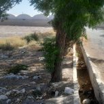 زمین کشاورزی