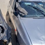 پرایدچپی ماشین سلامت موتور سالم گیربکس سالم دوگانه کارخانه کپسول یکی دوساله نو انداختم بیمه تا برج نه رودری روکش نو سمته شاگرد سالم صندوق سالم