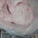 دنبه بره کشتار روز امیدیه