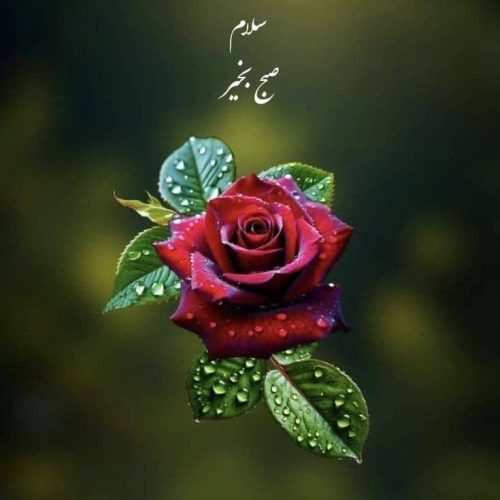 97متردوخوابه باکلیه امکانات
