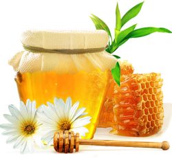 فروش فوری عسل طبیعی