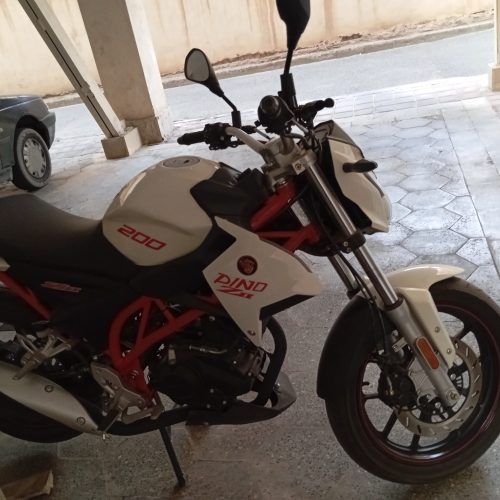 دینو z200