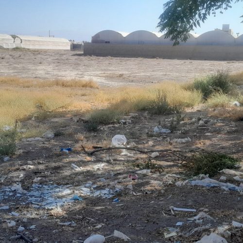 زمین کشاورزی