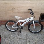 دوعدد دوچرخه سایز 20 درحدنو