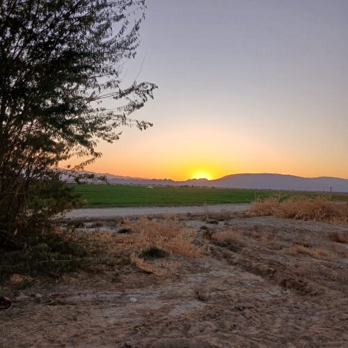 اجاری زمین کشاورزی