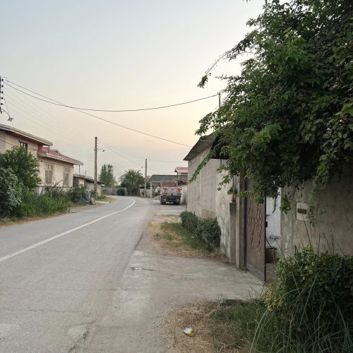 هزار متر مربع باغ فروشی