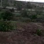 فروش زمین کشاورزی