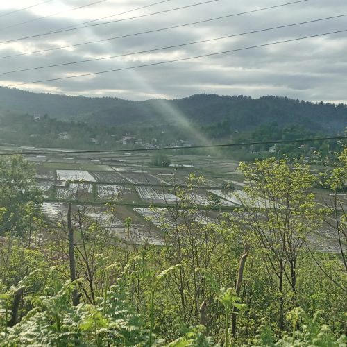 زمین ویلایی در توریسیتی ترین منطقه گیلان