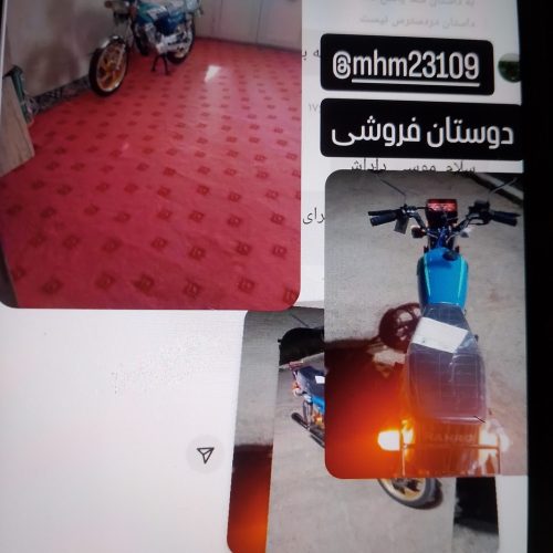 رهرو 200.404. طرح نیکتازی رینگ طلایی
