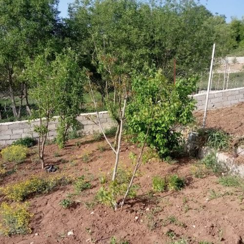 فروش زمین 450 متری