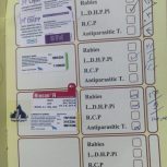 حنا خانوم ما دختر بسیار آروم و متوجه کلمه بشین برو توپ تو بیار و بیا میشه و نزدیک 6 ماهشهر