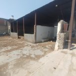 اجاره سالن ومحوطه