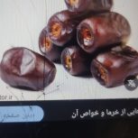 خرید خرما