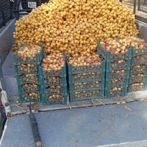 خارک ….خلال فروشی برحی درجه 123