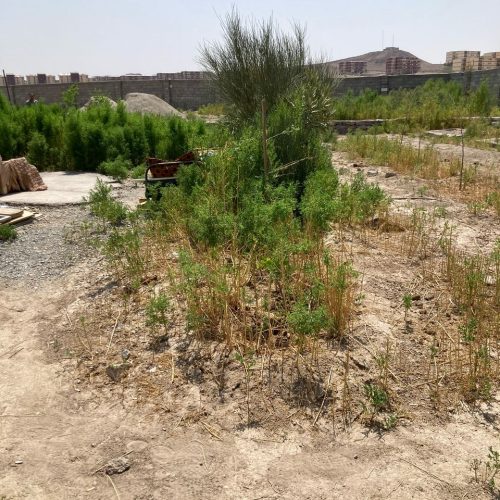 فروش باغچه 600متری حصارمهتر