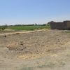 زمین کشاورزی دارای چاه عمیق با پروانه