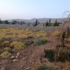 زمین باغ شهری ،کودیان آب پرده