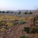 زمین باغ شهری ،کودیان آب پرده