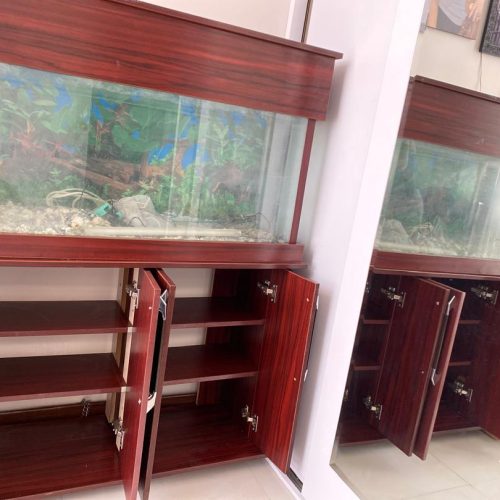 آکواریوم کمددار در حد نو