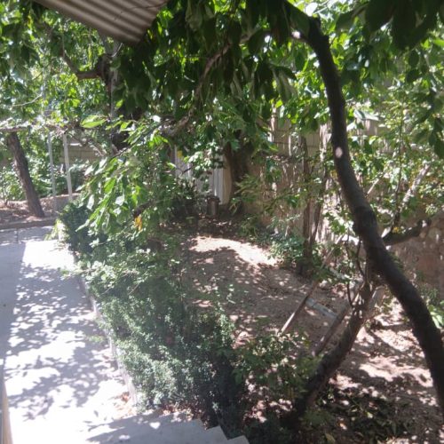 یک باغ با امکانات