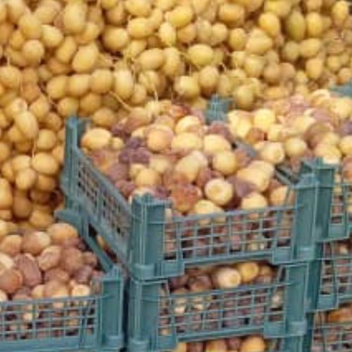 خارک ….خلال فروشی برحی درجه 123