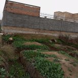 زمین زنگیان