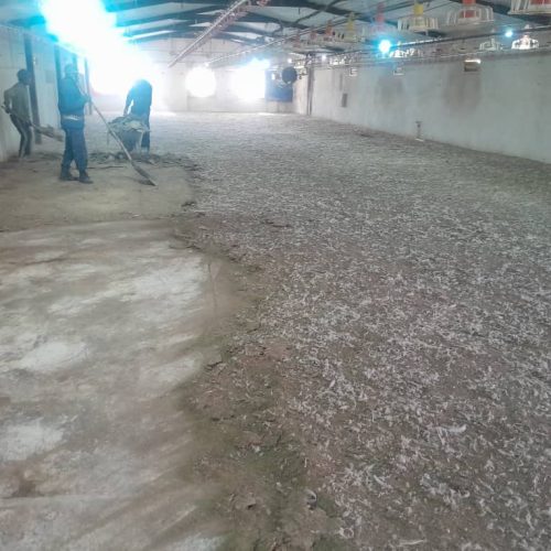 فروش کود گوشتی پلت