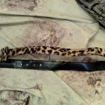 کمربند پلنگی