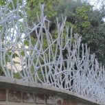 حفاظ شاخگوزنی