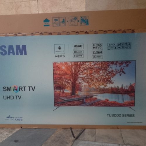 کارتن تلویزیون  سام