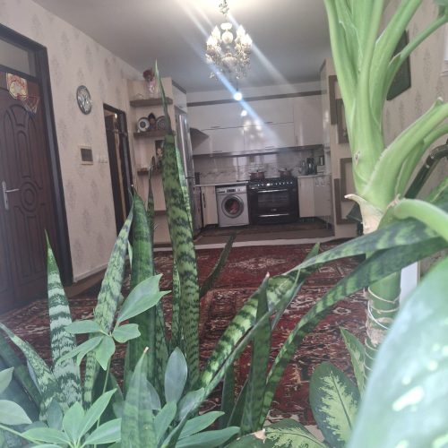 خانه 71 متری در امیرخیز