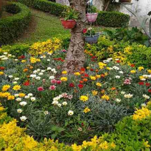 باغبانی حرفه ای
