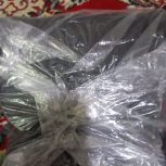 رو زین موتور سیکلت کویر